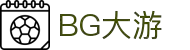 BG大游(集团)最新官方网站